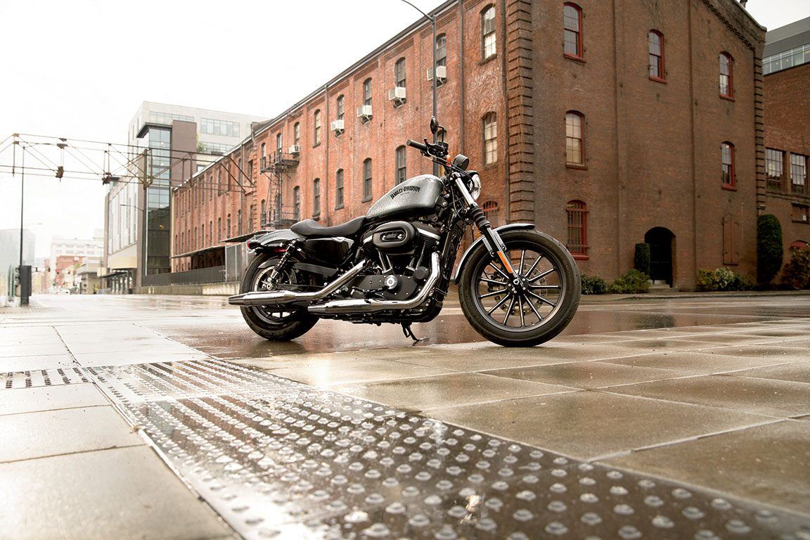 Beginner harley riders clearance
